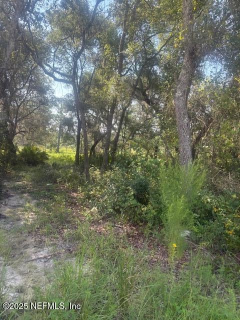 5727 Chippewa Ave, Keystone Heights, FL 32656