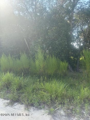 5727 Chippewa Ave, Keystone Heights, FL 32656