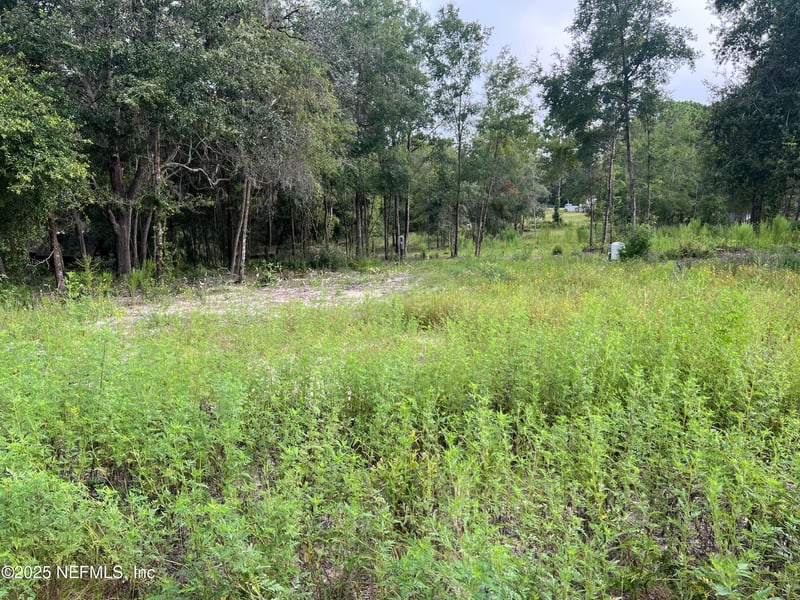 114 Plantation Way, Hawthorne, FL 32640