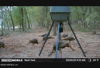 1886 State Road 20 Rd, Hawthorne, FL 32640