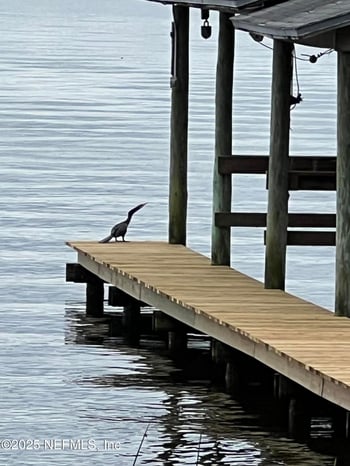 3235 Doctors Lake Dr, Orange Park, FL 32073