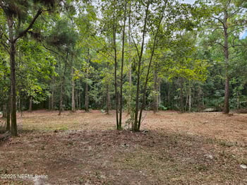 2469 Oleander Ave, Middleburg, FL 32068