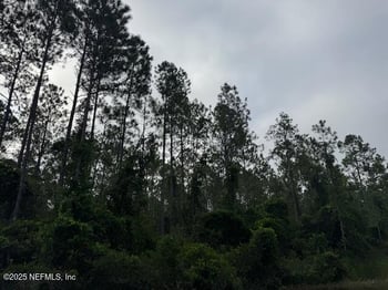 Baylor Ave, Hastings, FL 32145