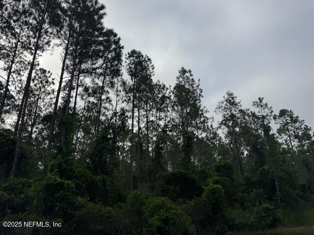 0 Baylor Ave, Hastings, FL 32145