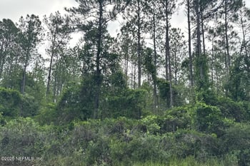 Baylor Ave, Hastings, FL 32145