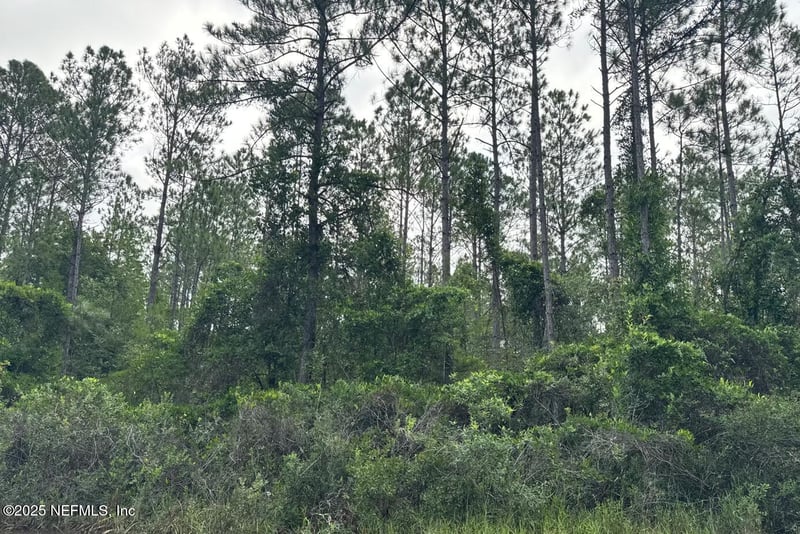 0 Baylor Ave, Hastings, FL 32145