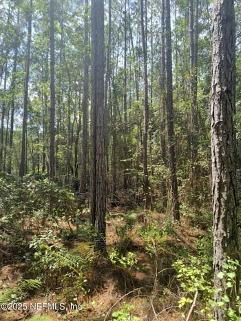 4337 Bondarenko Rd, Keystone Heights, FL 32656