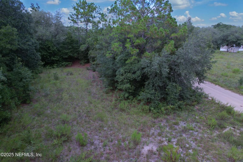 Guy Ave, Interlachen, FL 32148