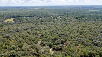 23172 120th Pl, Hawthorne, FL 32640