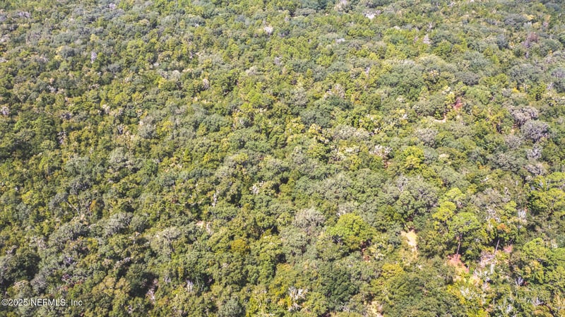 23172 120th Pl, Hawthorne, FL 32640