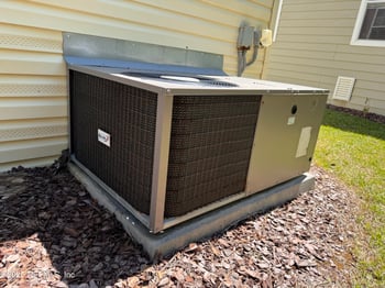 5829 Mora Pl, Elkton, FL 32033