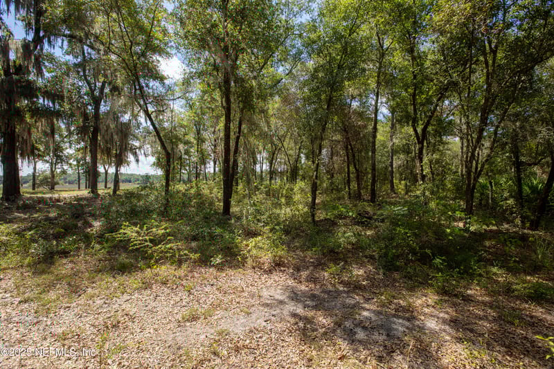 113 Serena Cir, Melrose, FL 32666