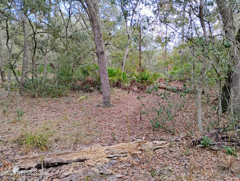 244 Thompson Ave, Interlachen, FL 32148