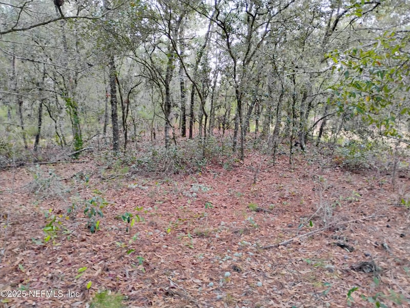 309 Wilson Dr, Interlachen, FL 32148