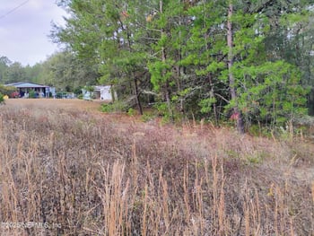 309 Wilson Dr, Interlachen, FL 32148