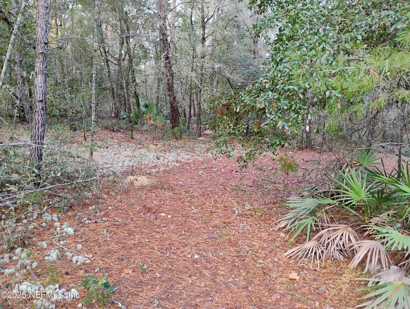 309 Wilson Dr, Interlachen, FL 32148