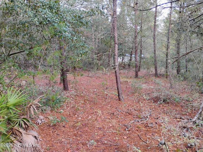 309 Wilson Dr, Interlachen, FL 32148