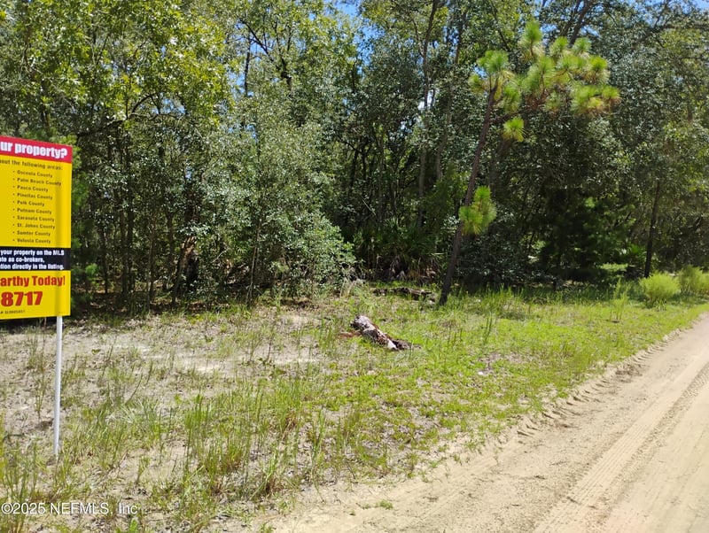 244 Thompson Ave, Interlachen, FL 32148