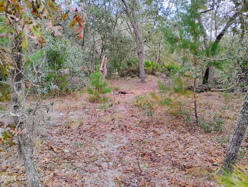 244 Thompson Ave, Interlachen, FL 32148