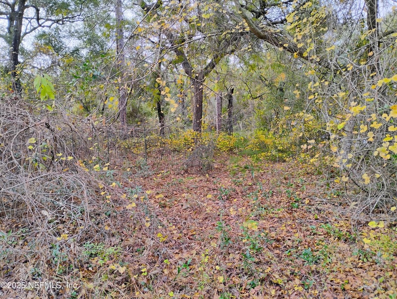 103 Antler Rd, Interlachen, FL 32148