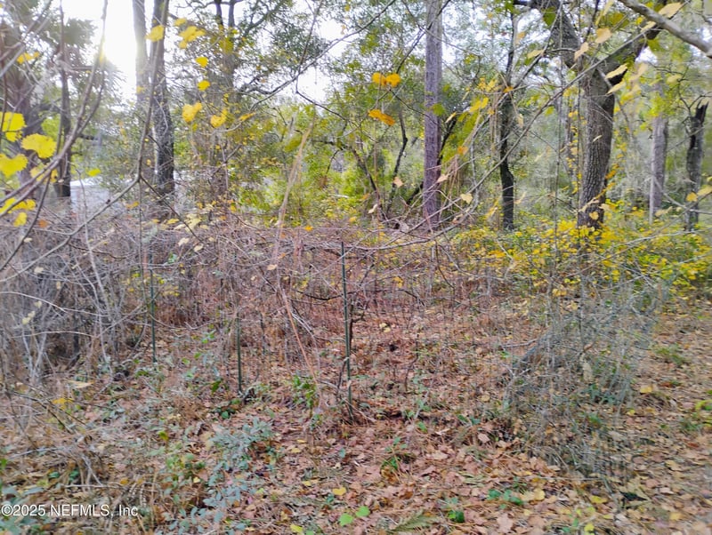 103 Antler Rd, Interlachen, FL 32148