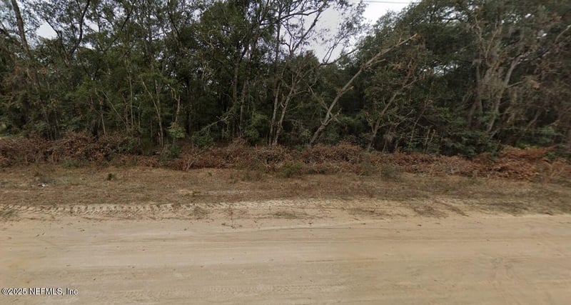 713 Brett Ave, Interlachen, FL 32148