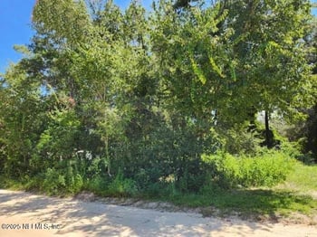 221 Oak St, Hawthorne, FL 32640