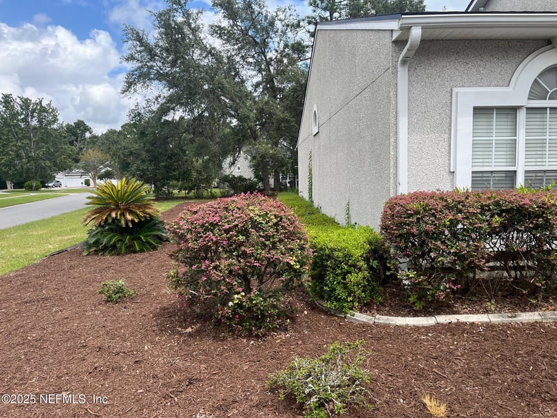 3898 Green View Ter, Middleburg, FL 32068