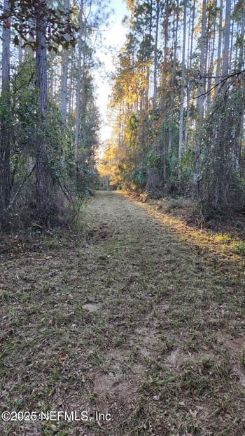 29077 Yellow Oak Ct, Hilliard, FL 32046