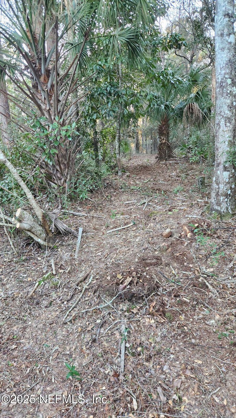 29077 Yellow Oak Ct, Hilliard, FL 32046