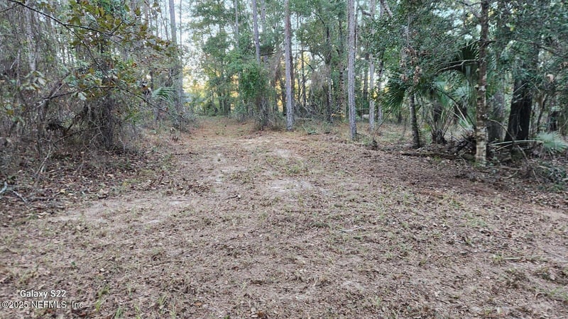 29077 Yellow Oak Ct, Hilliard, FL 32046