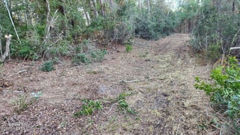 29077 Yellow Oak Ct, Hilliard, FL 32046