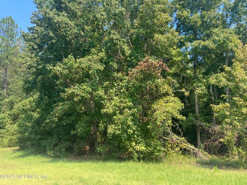 00 County Rd 217, Jacksonville, FL 32234