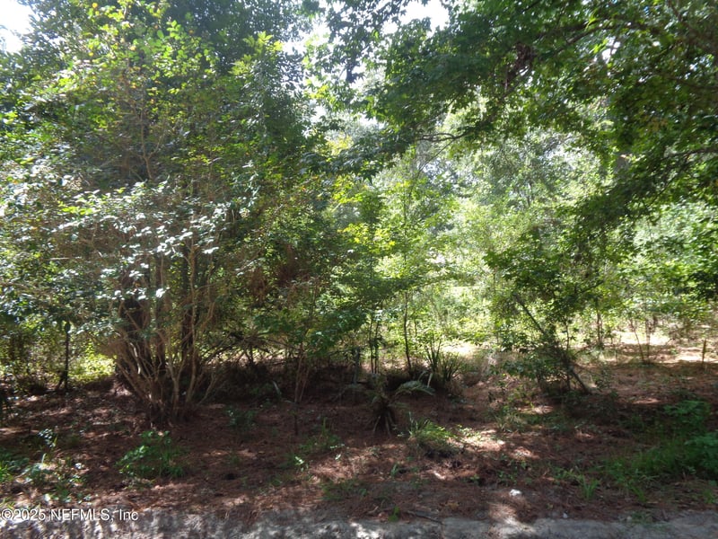 0 Lake Shore Lots 413 414 Ter, Interlachen, FL 32148