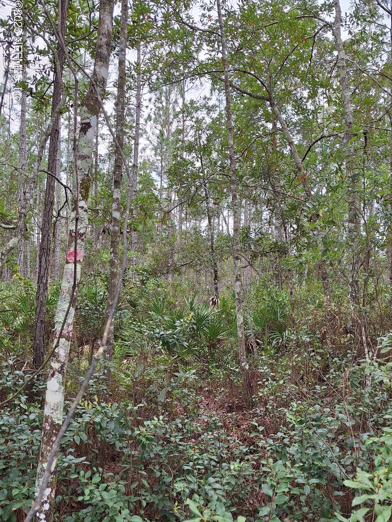 0 Don Quixote St, Palatka, FL 32177