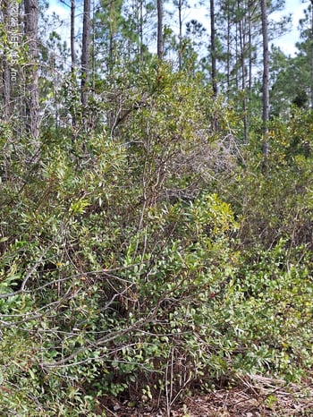 Escambia State Road, Palatka, FL 32177