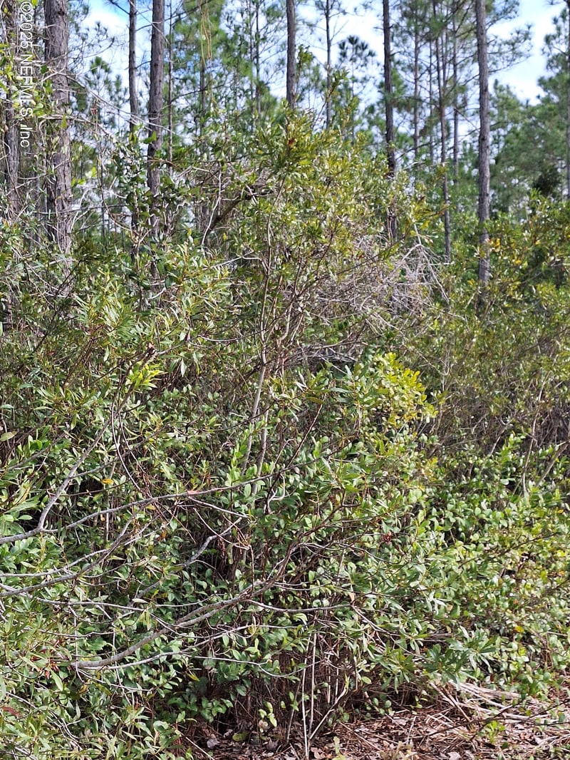 0 Escambia State Road, Palatka, FL 32177