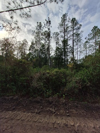 St Johns St, Palatka, FL 32177