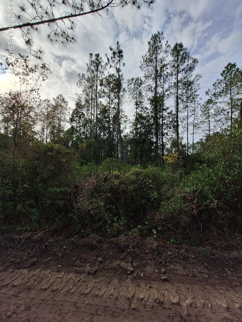 0 St Johns St, Palatka, FL 32177