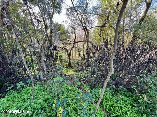 0 River Bluff Rd, Jacksonville, FL 32211