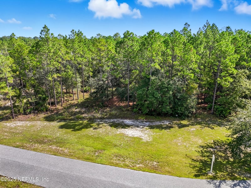 13597 Settindown Dr, Bryceville, FL 32009