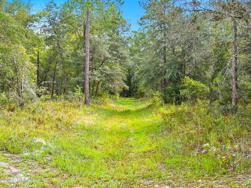 13597 Settindown Dr, Bryceville, FL 32009