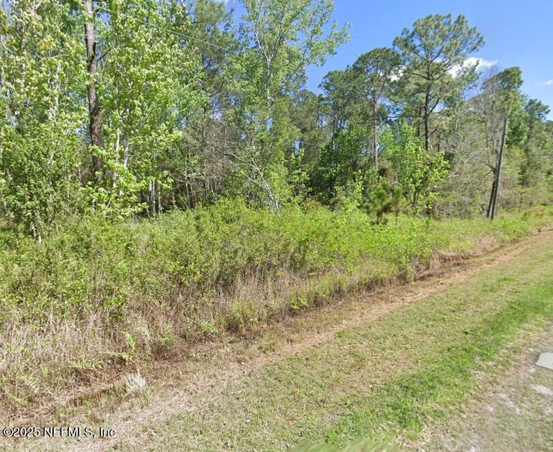 210 Redwood Blvd, Georgetown, FL 32139