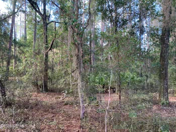 127 South Dr, Florahome, FL 32140