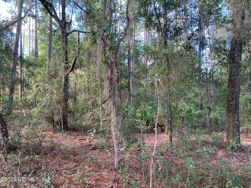 127 South Dr, Florahome, FL 32140