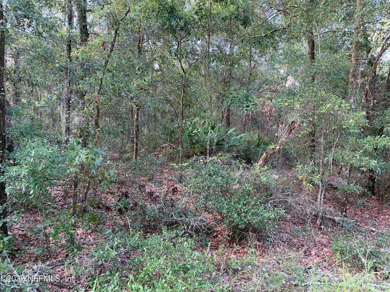 127 South Dr, Florahome, FL 32140