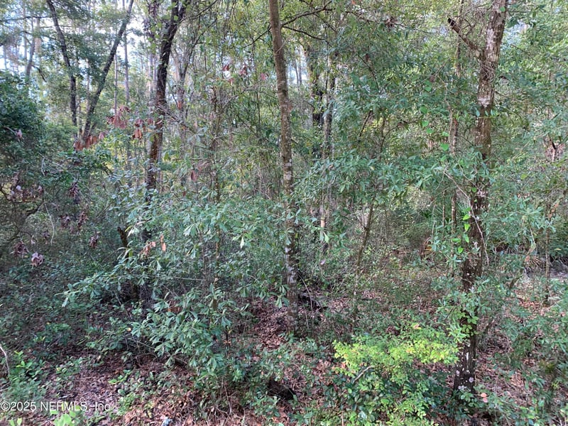 127 South Dr, Florahome, FL 32140