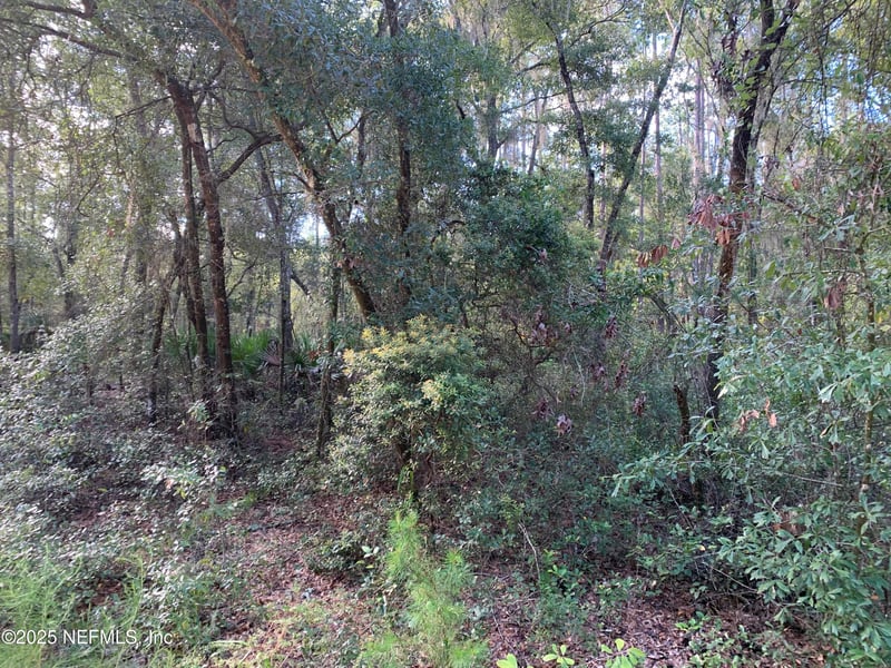 127 South Dr, Florahome, FL 32140