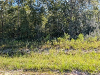 0010 Cordell & Boundary, Interlachen, FL 32148