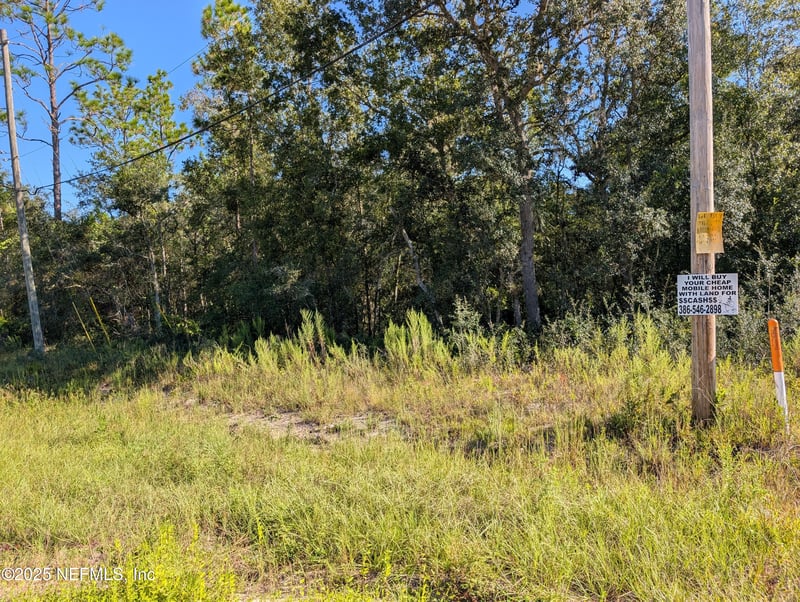 0010 Cordell & Boundary, Interlachen, FL 32148